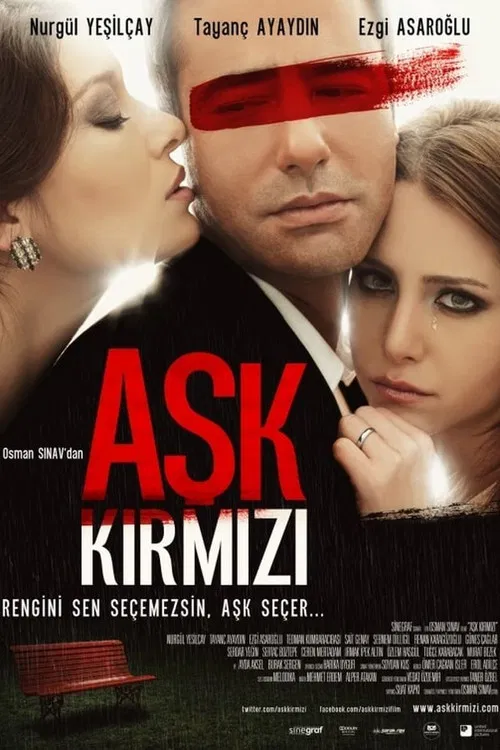 Aşk (2013) film posteri
