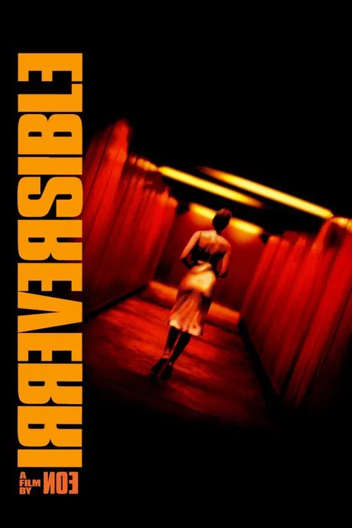 Dönüş Yok (2002) film posteri
