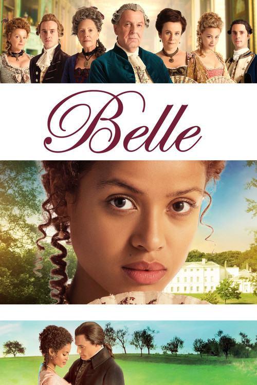 Güzelliğin Rengi (2013) film posteri