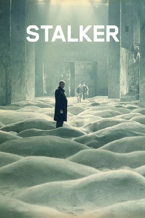 Sürücü (2011) film posteri