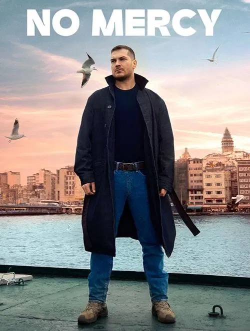 Gaddar (2024) film posteri